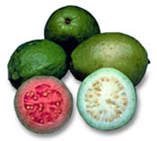 Guavas