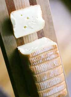 Limburger Cheese
