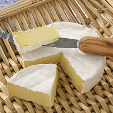 Camembert