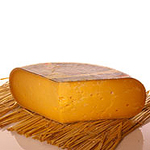 Gouda