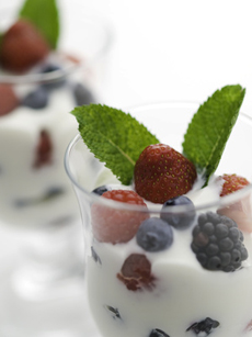 Yogurt and Berries