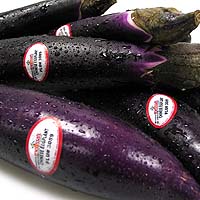 chinese eggplant