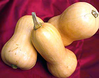 butternut squash