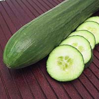 cucumber