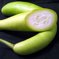 cucuzza squash