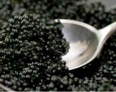 Bowfin Caviar