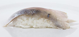 Mackerel