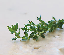 Thyme