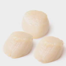 Scallops