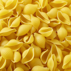 Pasta Shells