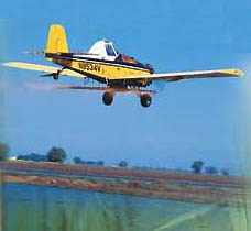 Seeding A Rice Field