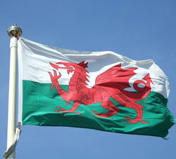 Welsh Flag