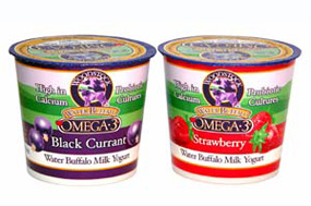 Omega 3 Yogurt