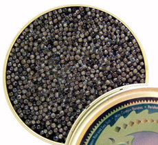 White Sturgeon Caviar