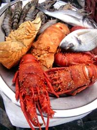 Lobster Platter