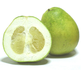 Pomelo