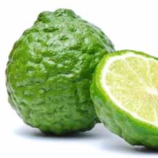 Kaffir Lime