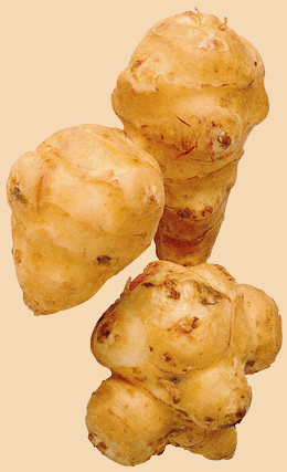 Sunchokes