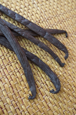 Tahitian Vanilla