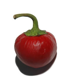 Cherry Pepper