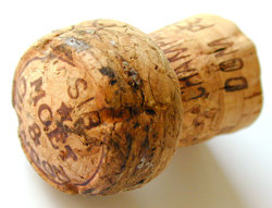 Champagne Cork