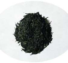 sencha