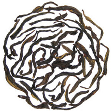 Oolong