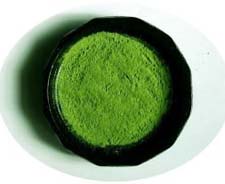matcha