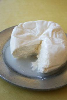 Burrata