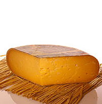 Gouda
