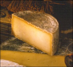 Half wheel of cheese