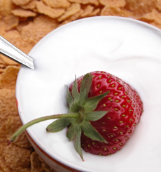 Plain Greek Yogurt