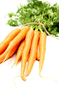 Fresh Carrots