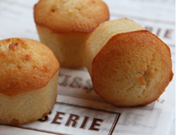 Financier