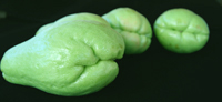 Chayote squash