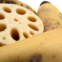 lotus root