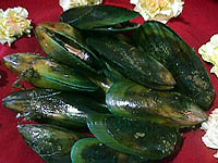 Green Lip Mussel