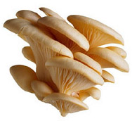 Mushrooms