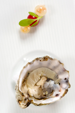 Blue Point Oyster