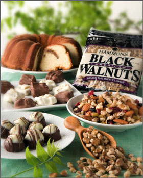 Black Walnut Recipes