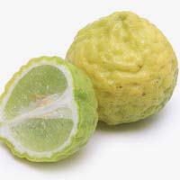 Kaffir Lime