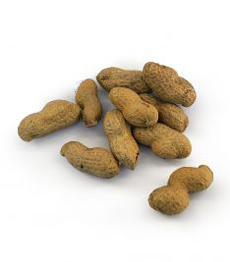 Peanuts In Shell