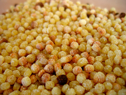 Fregula