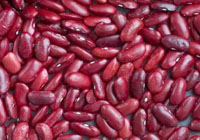 Kidney Beans