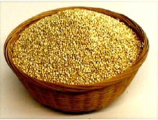quinoa