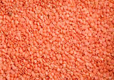 Red Lentils