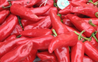 Piment d'Espelette - Espelette Pepper