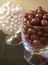 chocolate and yogurt covered soy nuts
