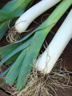 Leeks