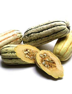 Delicata Squash